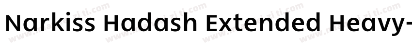 Narkiss Hadash Extended Heavy字体转换
